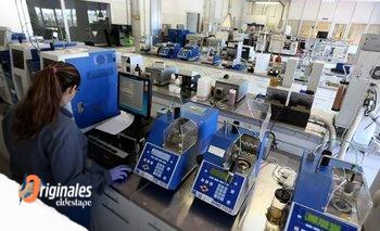 Cayeron hasta 15% las ventas y la producción petroquímica en comparación con 2024 | Energías
